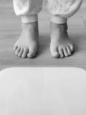 Ganho de Peso em campo grande, mato grosso do sul